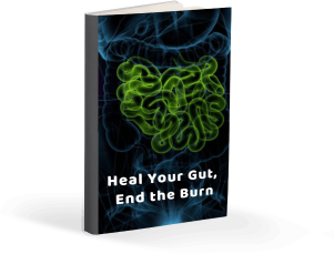 The Gut Blueprint for Lifelong Wellness eBook, free VivoGut bonus