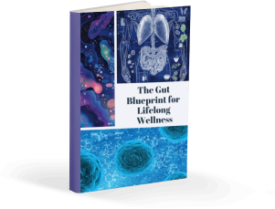 Heal Your Gut, End the Burn eBook, free VivoGut bonus
